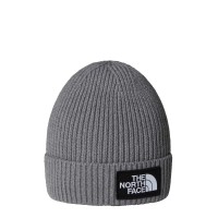 The North Face TNF Logo Box Cuffed Παιδικός Σούφος Γκρι